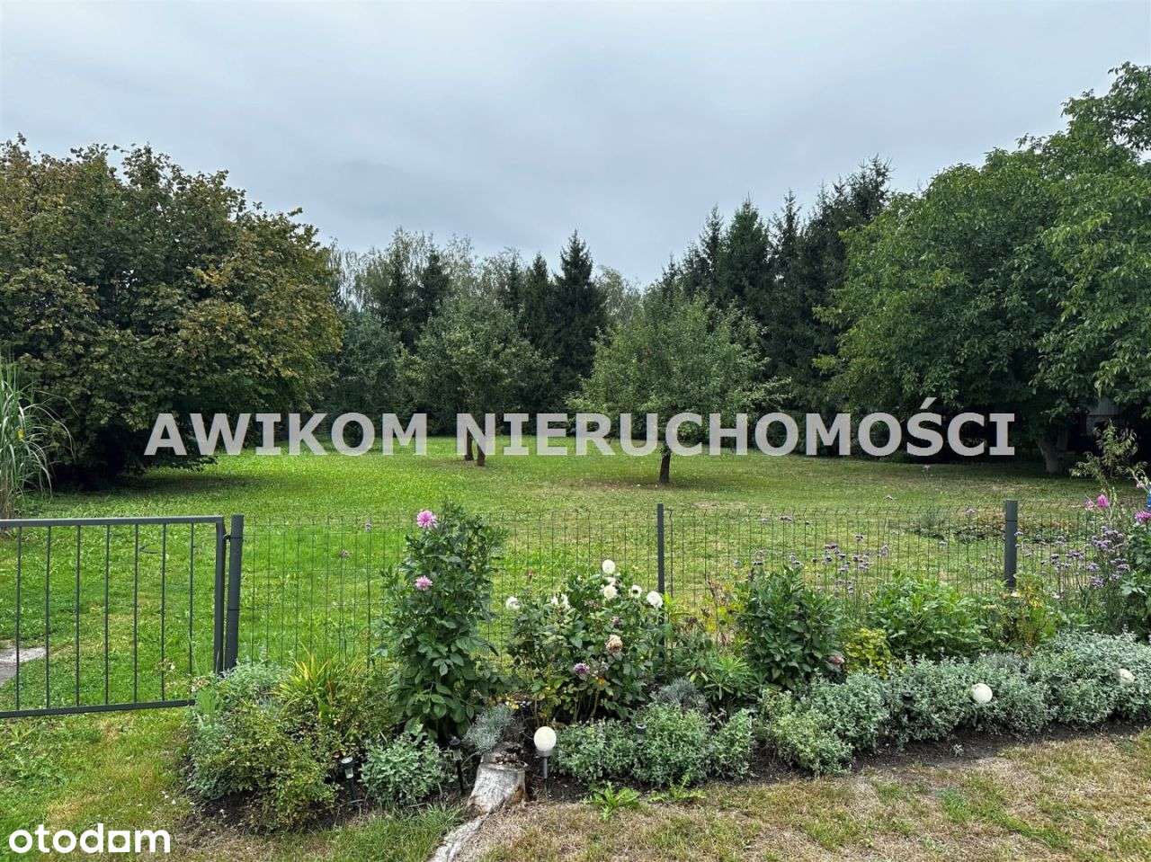 Teren idealnie nadaje się na wybudowanie dyskontu - Pełny obrazek: 5/7