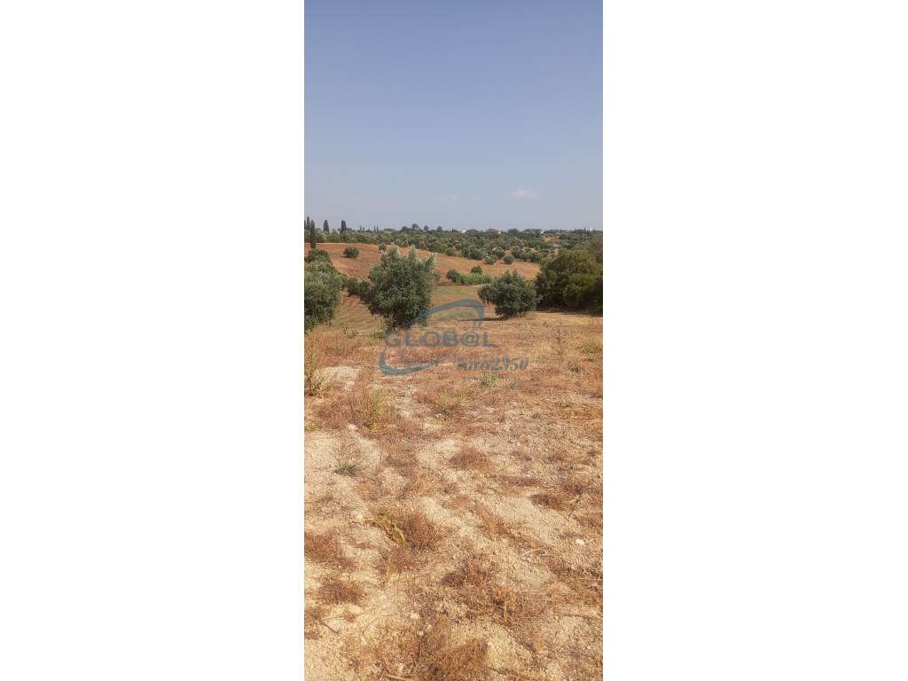 Terreno Venda Torres Novas - Grande imagem: 3/5