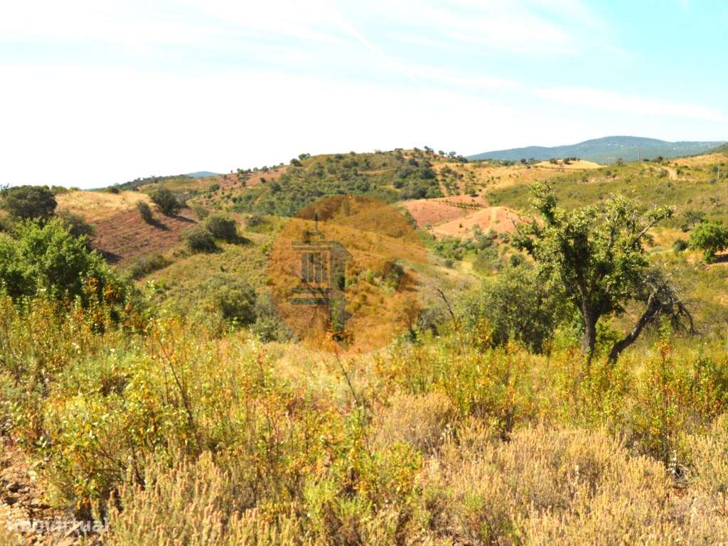 Terreno Rústico Porto Carvalhoso - Grande imagem: 4/24