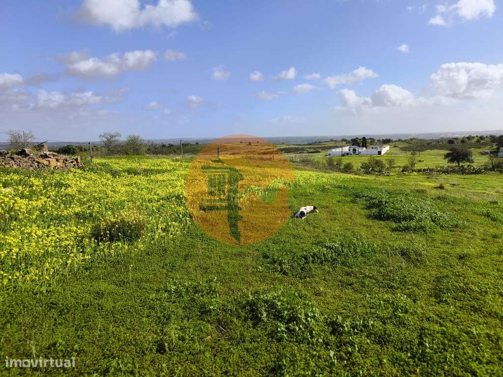 TERRENO COM 4.720 M² - NO CENTRO DO AZINHAL - COM POSSIBILIDADE DE ... - Grande imagem: 3/19