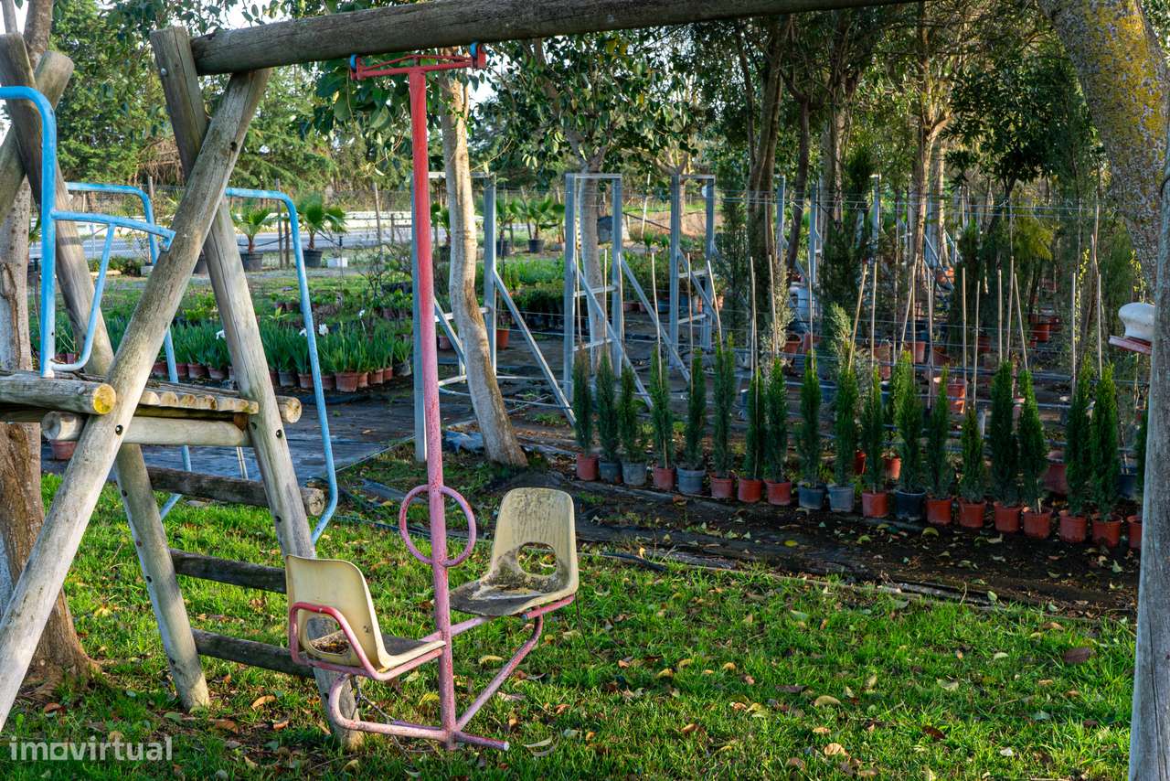 Trespasse de Centro de Jardinagem – Negócio Completo e Equipado - Beja-19
