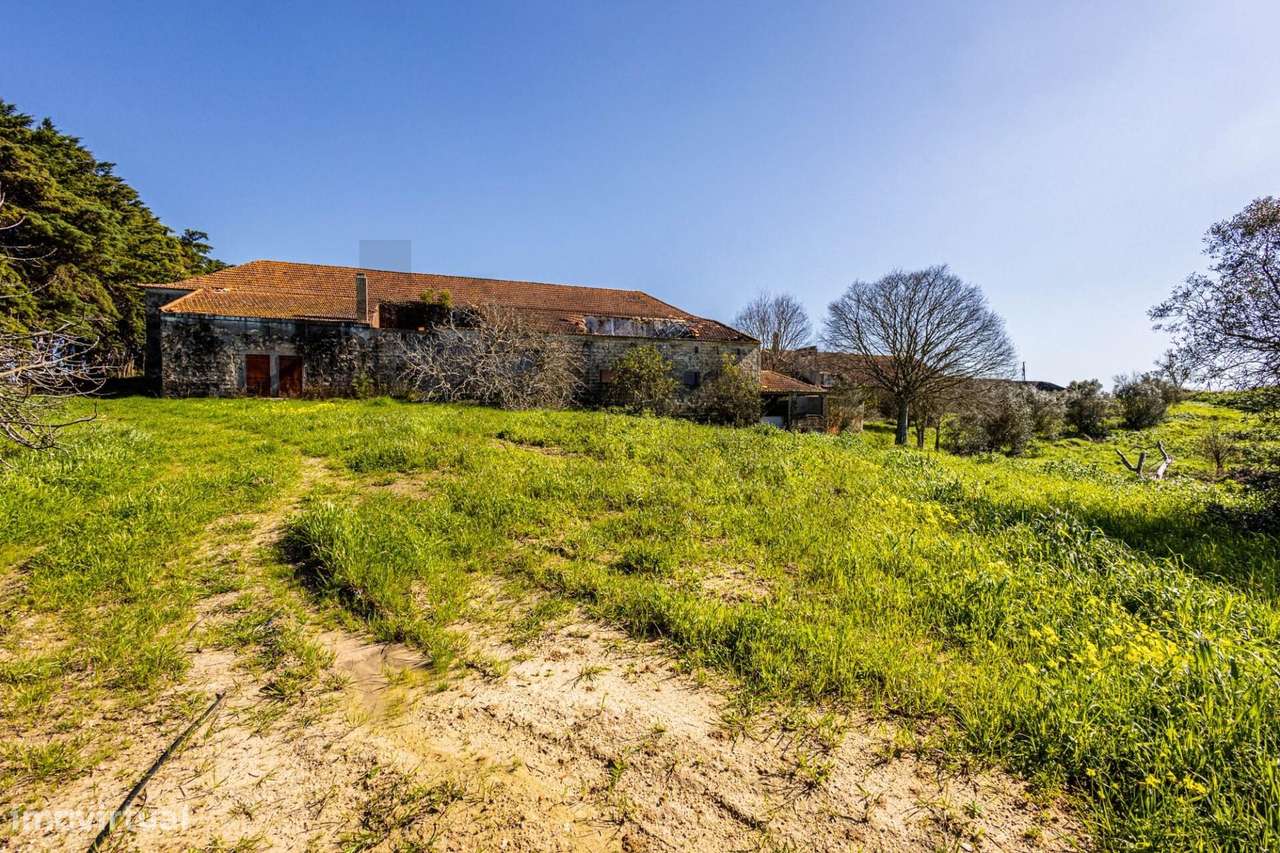 Quinta com 21 ha e várias construções perto de Santarém | Grande poten - Grande imagem: 2/60