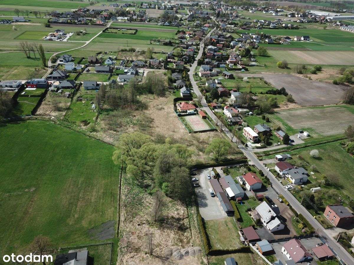 Dla inwestora / Paniowy - Pełny obrazek: 2/5