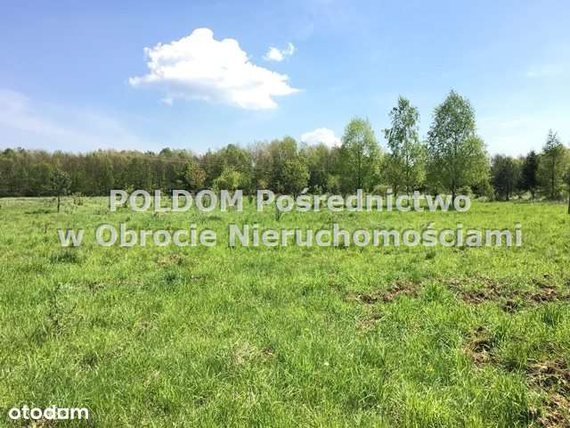 Działka budowlana 7527m2/ Jary k. Obornik Śl.-3