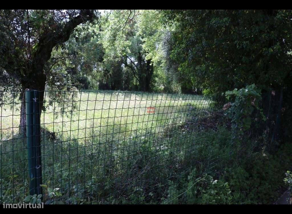 Moradia - Grande imagem: 5/14