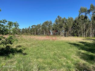 Lote para construção industrial com 22.000 m2 em Barrosas, Lousada