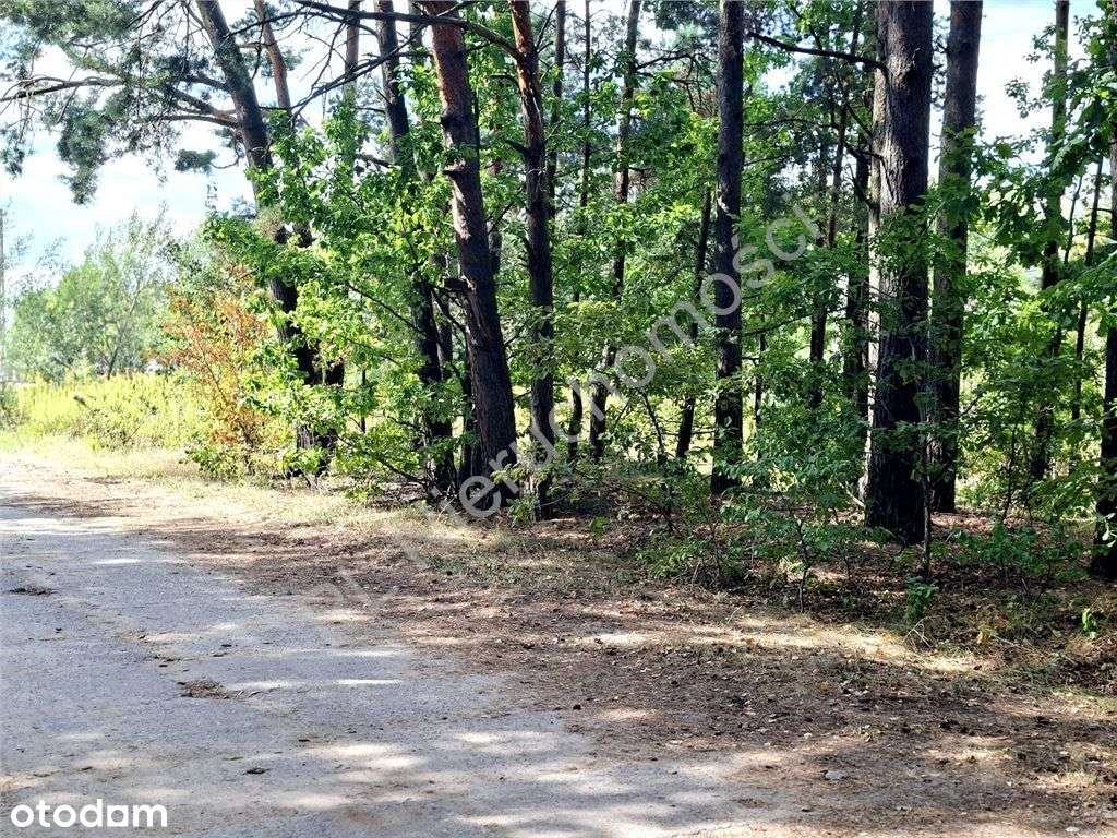 Działki budowlane w rozsądnej cenie. - Pełny obrazek: 4/19