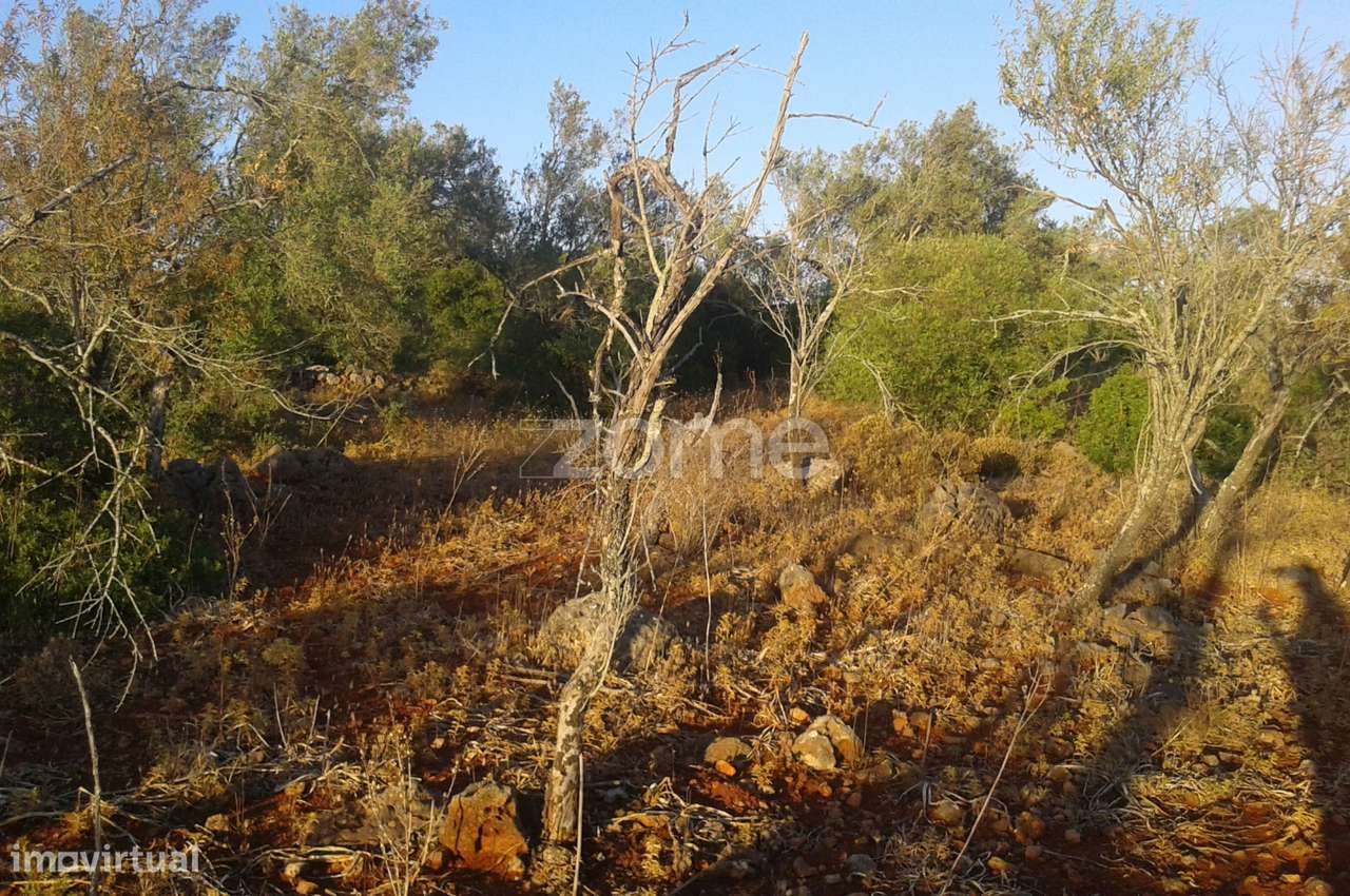 Terreno rústico em Alcaria, Messines, com 34.600m2 - Grande imagem: 5/19