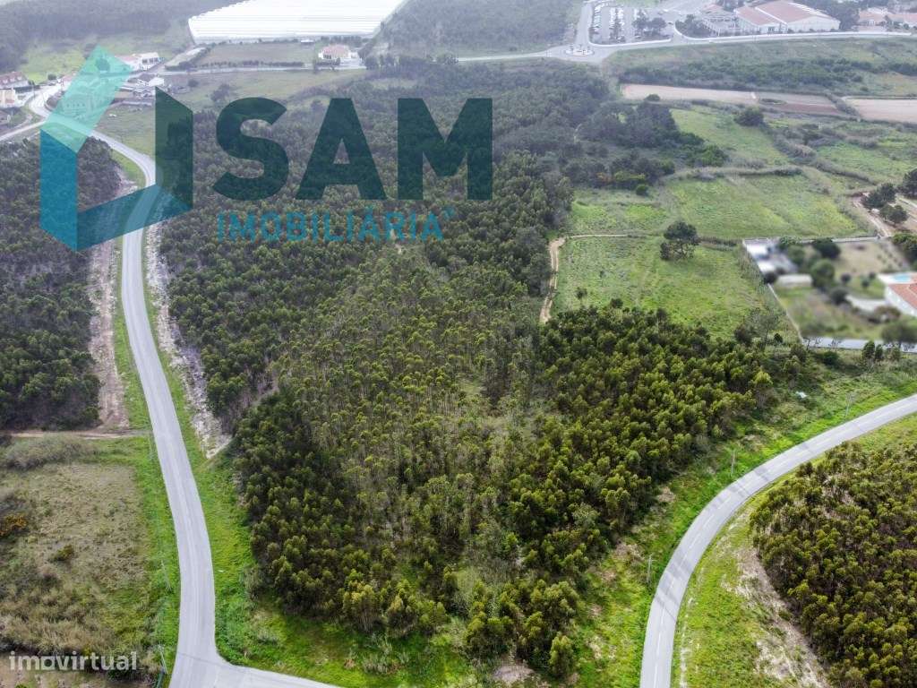 Terreno com viabilidade de desenvolvimento turístico - Grande imagem: 2/10