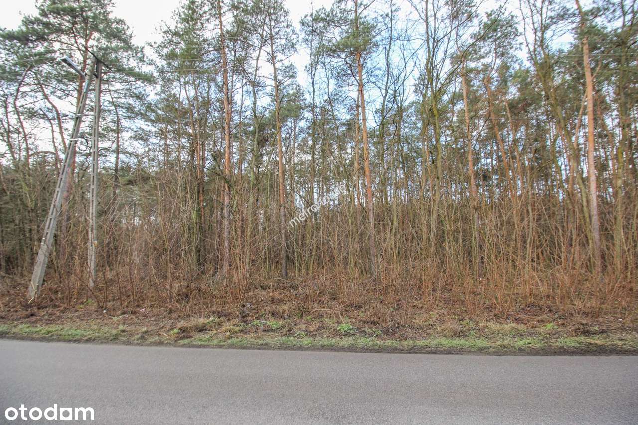 Działka budowlana 1690mkw dojazd asfaltowy. - Pełny obrazek: 4/6