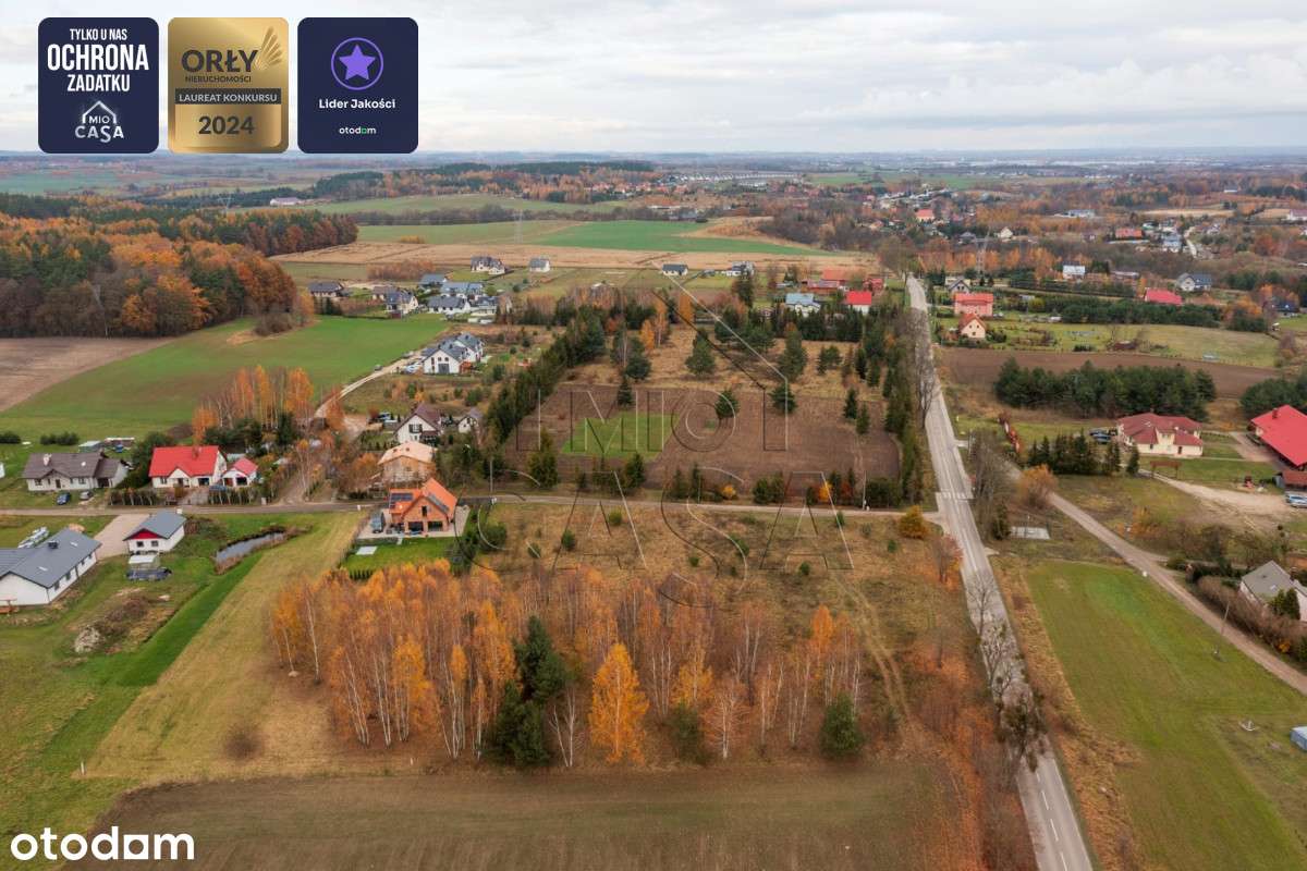 Działka z prywatnym lasem - Pełny obrazek: 5/5