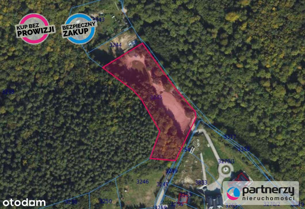 Wyjątkowy teren otoczony lasem Polana Bernadowo - Pełny obrazek: 1/8