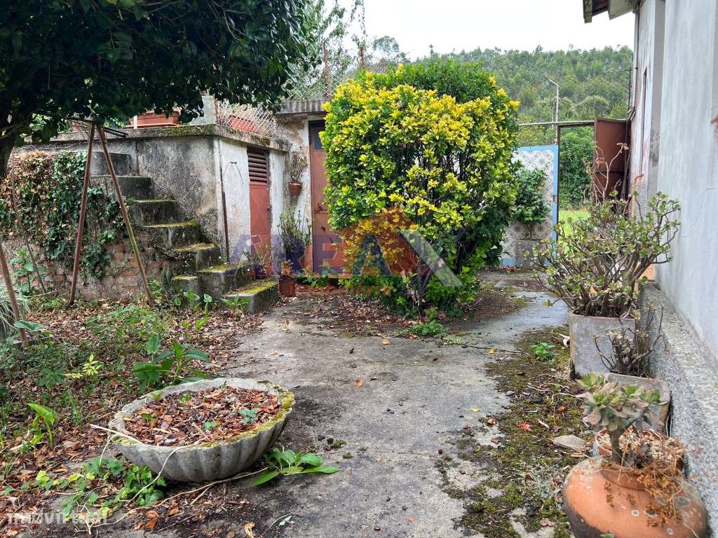 Oportunidade: 2 casas + artigo rústico com 2,0648 ha, perto de Oliv...-29