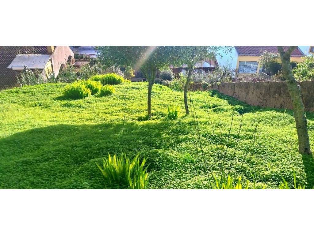 LOTE c/ Projeto aprovado - V5 - Grande imagem: 5/9