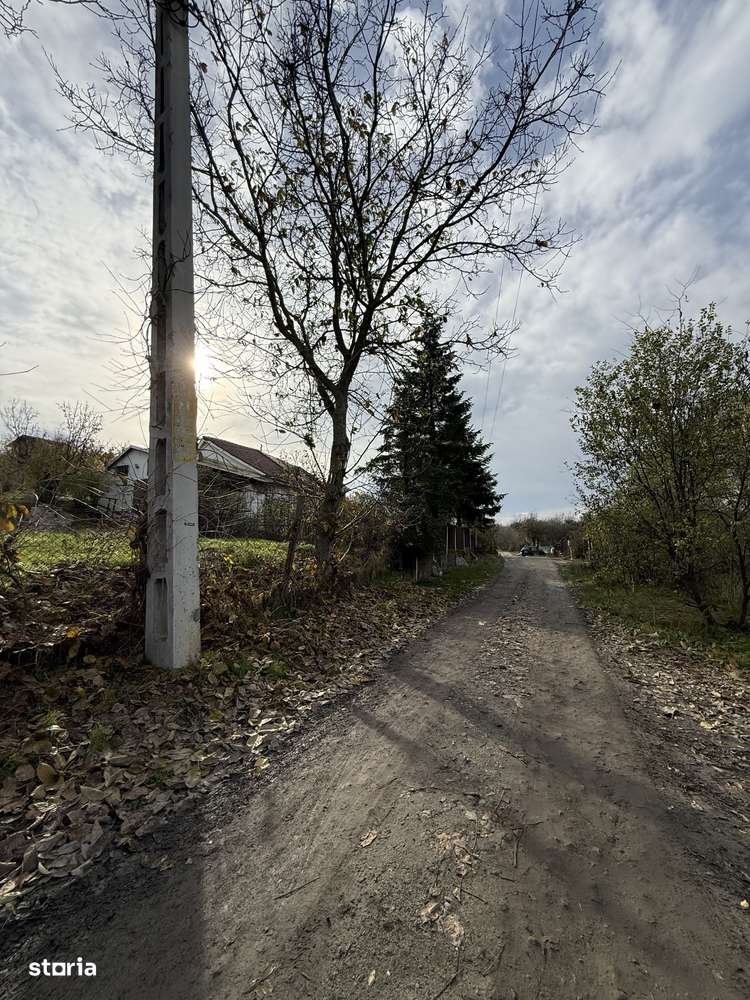 Preț bun!Teren Intravilan 750 mp- Carcea - Imagine principală: 2/3