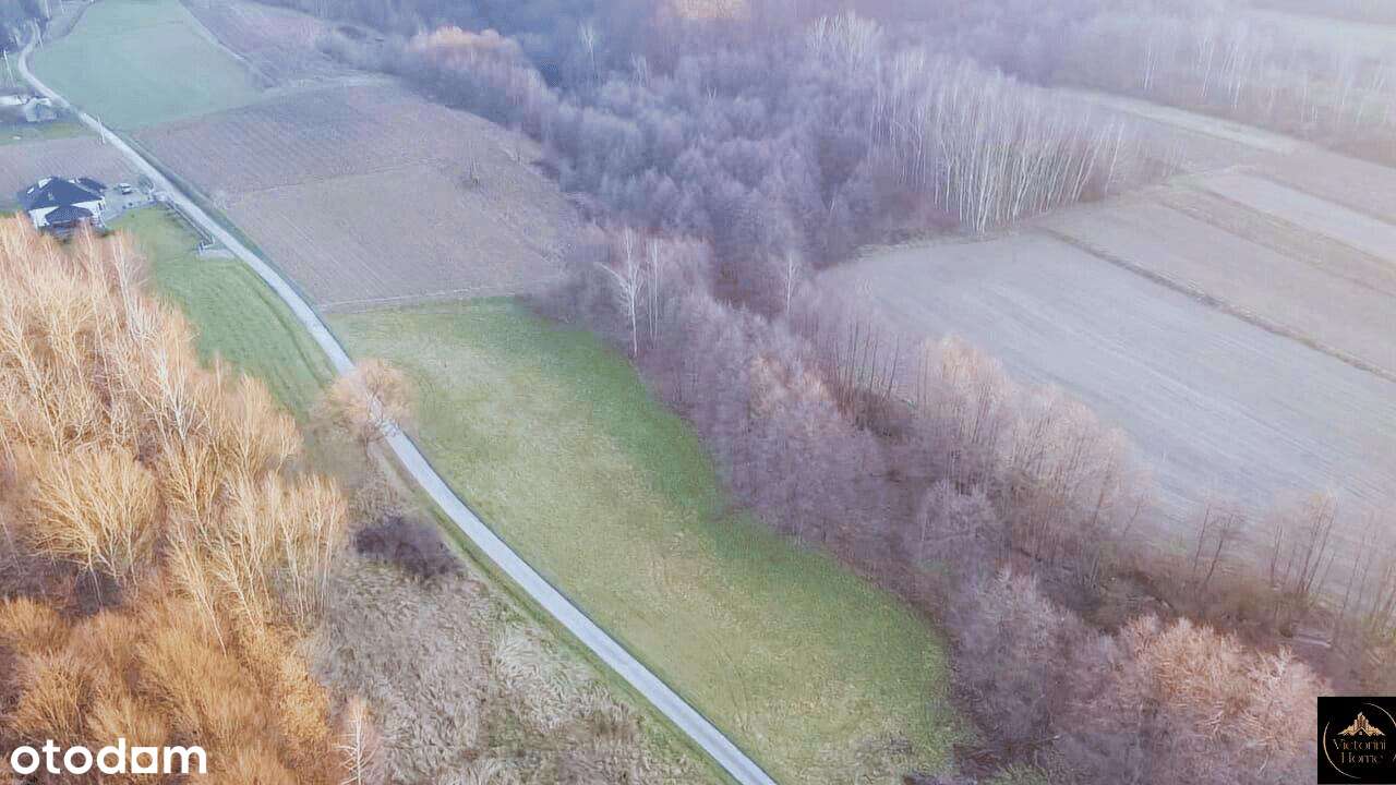 Działka widokowa 47 ary – Wrocanka, gmina Tarnowiec. - Pełny obrazek: 4/12