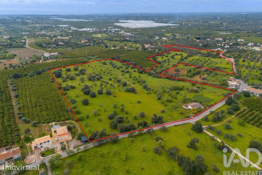 Quinta T3 em Luz de Tavira e Santo Estêvão de 362,00 m2 - Grande imagem: 1/20