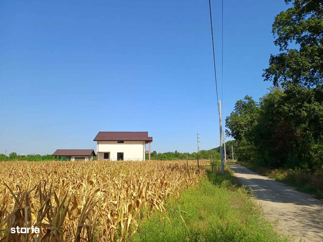 Teren de Vânzare 17.000 mp,Mihai Voda comuna Bolintin Deal-0