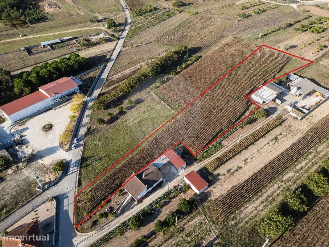 Terreno  para venda - Grande imagem: 4/33