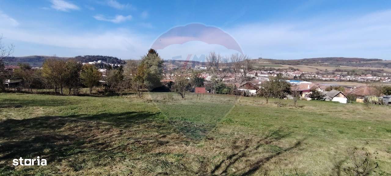 Teren intravilan de vanzare 3,798mp Str.Floreasca - Agnita - Imagine principală: 4/6