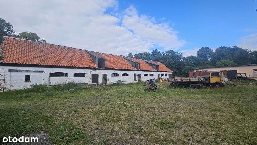 Lokal użytkowy, 1 240 m², Sierakowo-7