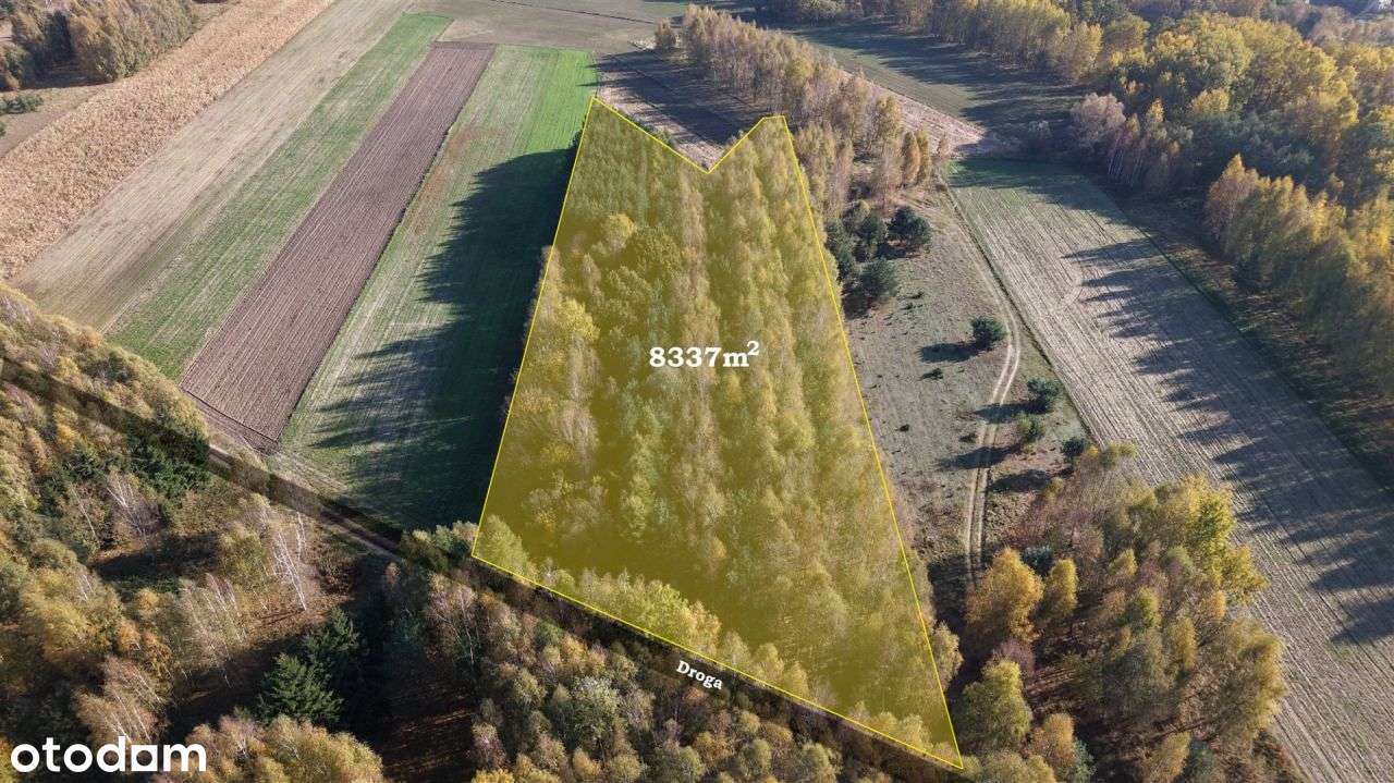 Duża zadrzewiona działka nieopodal Wkry.-6