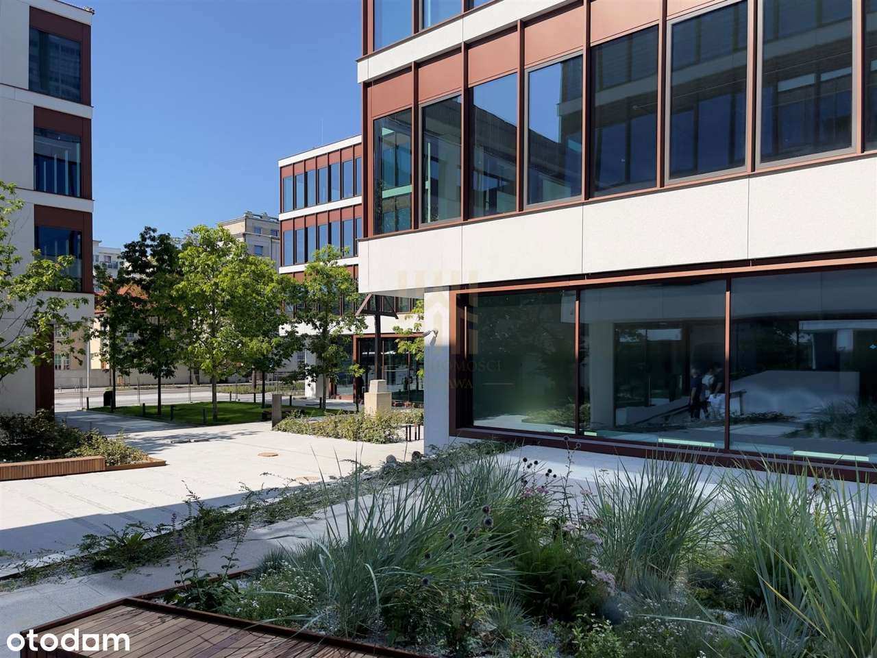 Biura najwyższej klasy przy gdyńskiej Marinie - Pełny obrazek: 4/11