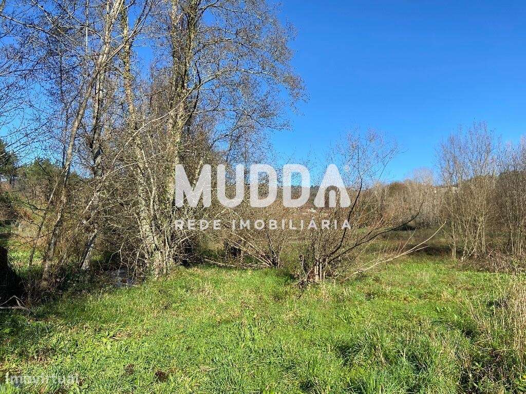 Terreno Plano de 700m2 - Grande imagem: 5/15