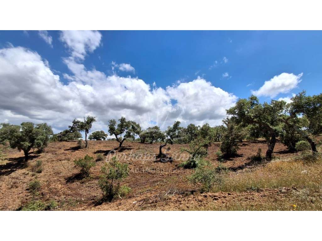 Terreno Serra de Grândola-6