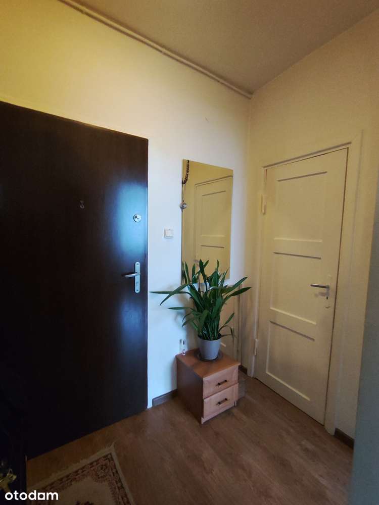 Mieszkanie 2 pokoje 32m2 - Pełny obrazek: 4/9