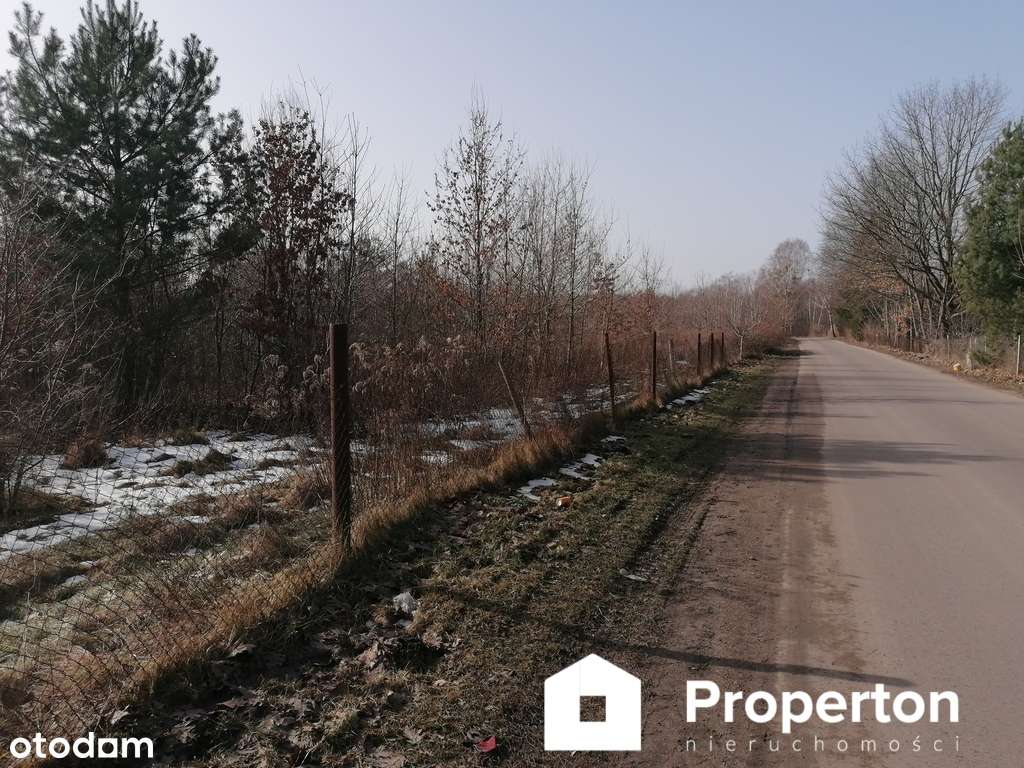 Fantastyczny teren dla Dewelopera - Pełny obrazek: 4/4