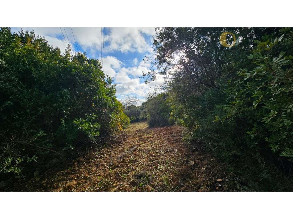 Terreno Rústico em Estoi com Poço-5