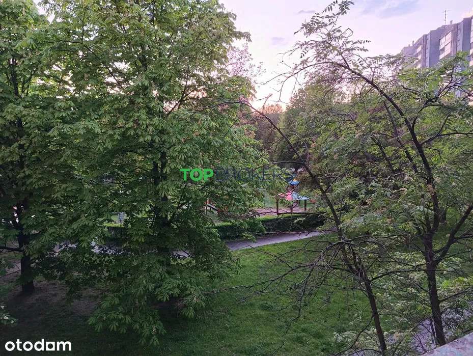 Rozkładowe 2 pokoje do remontu, zielona okolica-7