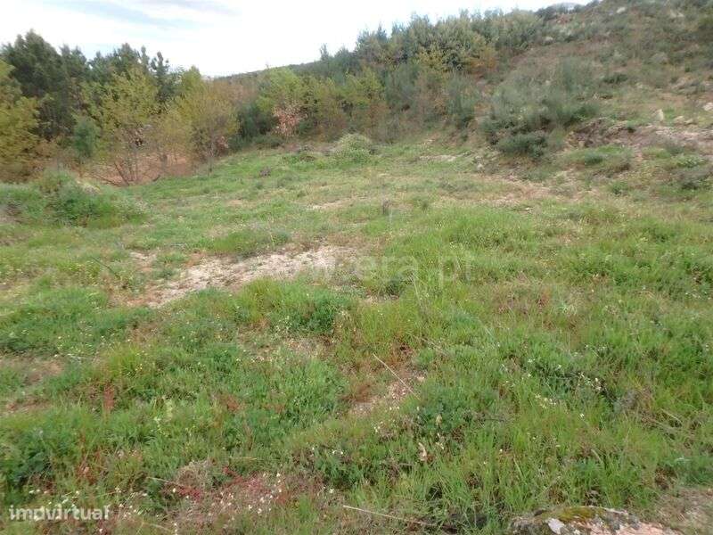 Terreno Rústico / Seia, Santa Marinha e São Martinho - Grande imagem: 4/10