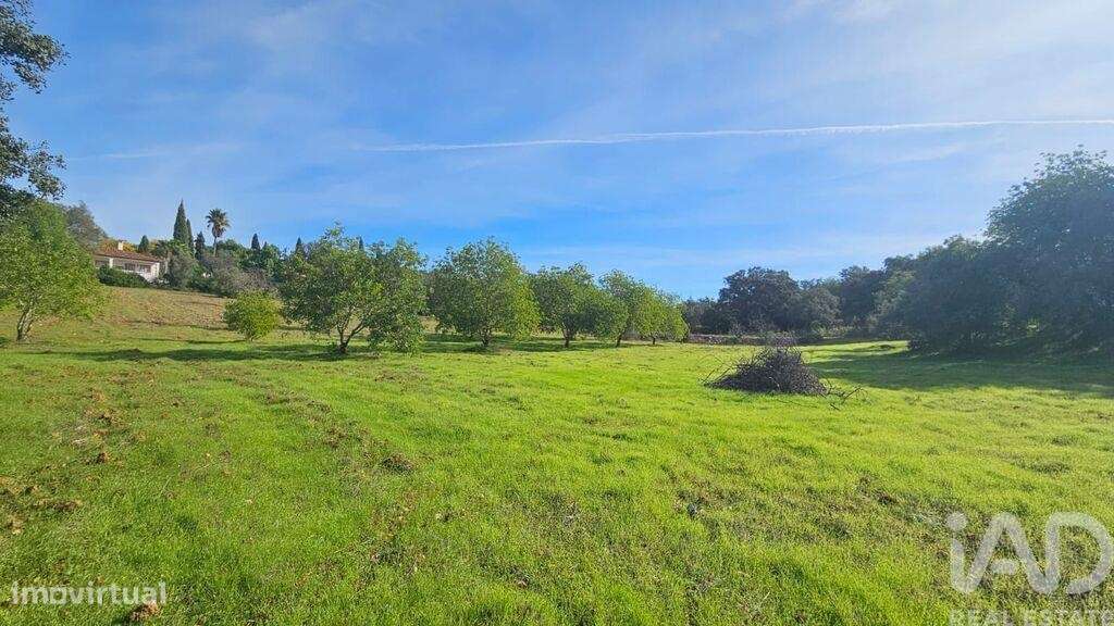 Terreno em Faro - Grande imagem: 3/6