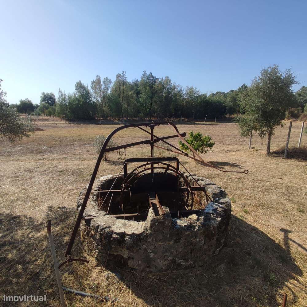 Terreno Rústico com 4625m2 na Lardosa, Castelo Branco - Grande imagem: 2/14