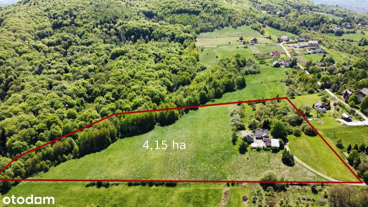 Widokowa działka z lasem 4ha w Raciechowicach - Pełny obrazek: 3/3