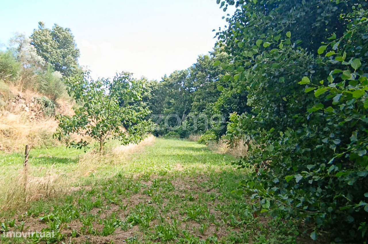 Quinta do Mosteiro de Salzedas com mais 17 ha e património histórico-49