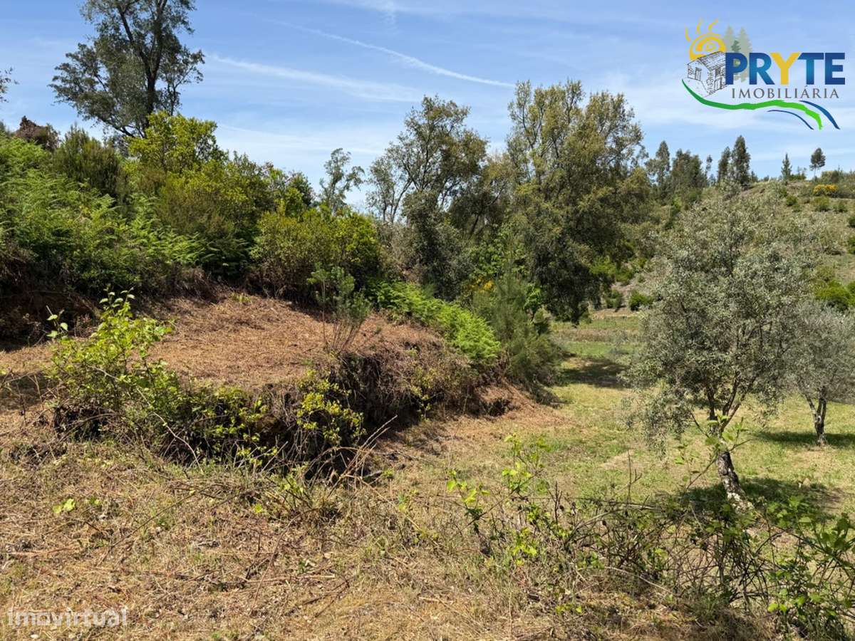 Terreno com uma ruína não registada a 6 quilómetros da Sertã-22