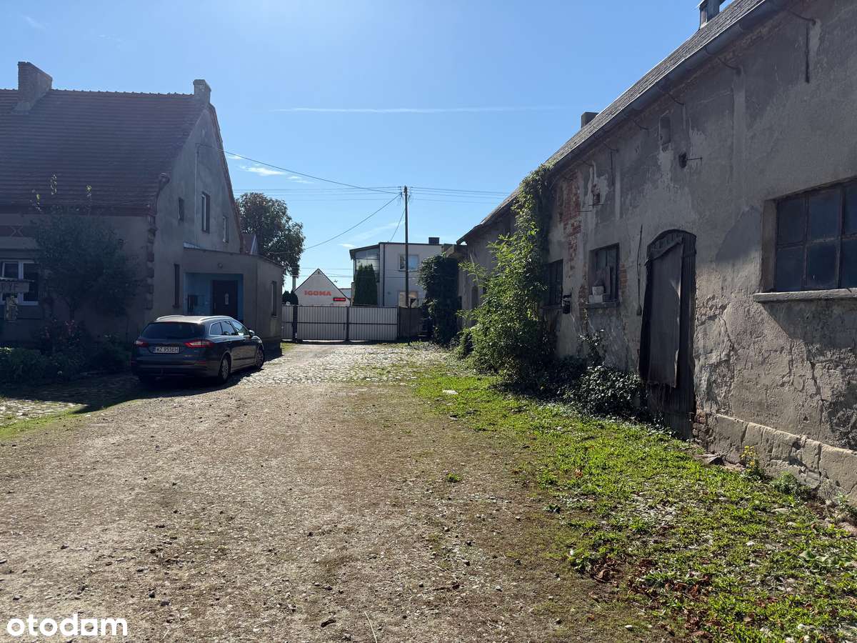 Duża działka z domem i zabudowaniami- Padniewko, gm. Mogilno - Pełny obrazek: 4/10