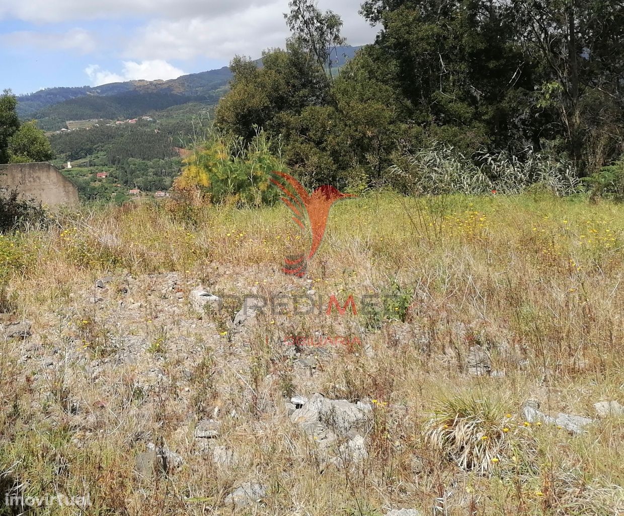 Terreno Rústico - Santo da Serra