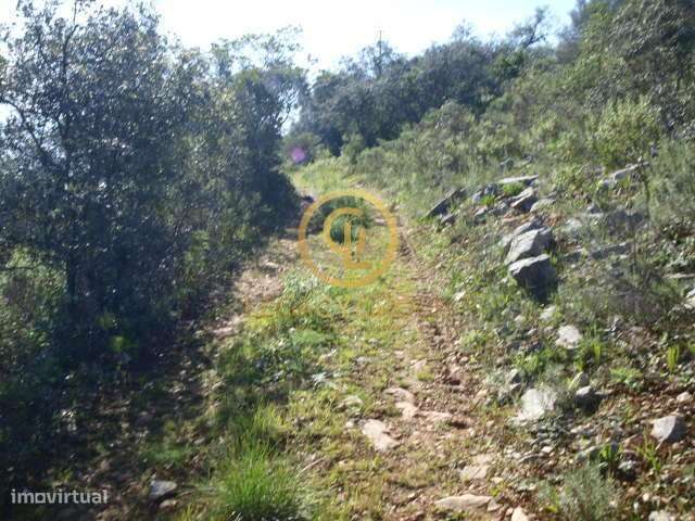 Terreno Rústico em Localização Privilegiada junto à Quinta da Ombria - Grande imagem: 4/26