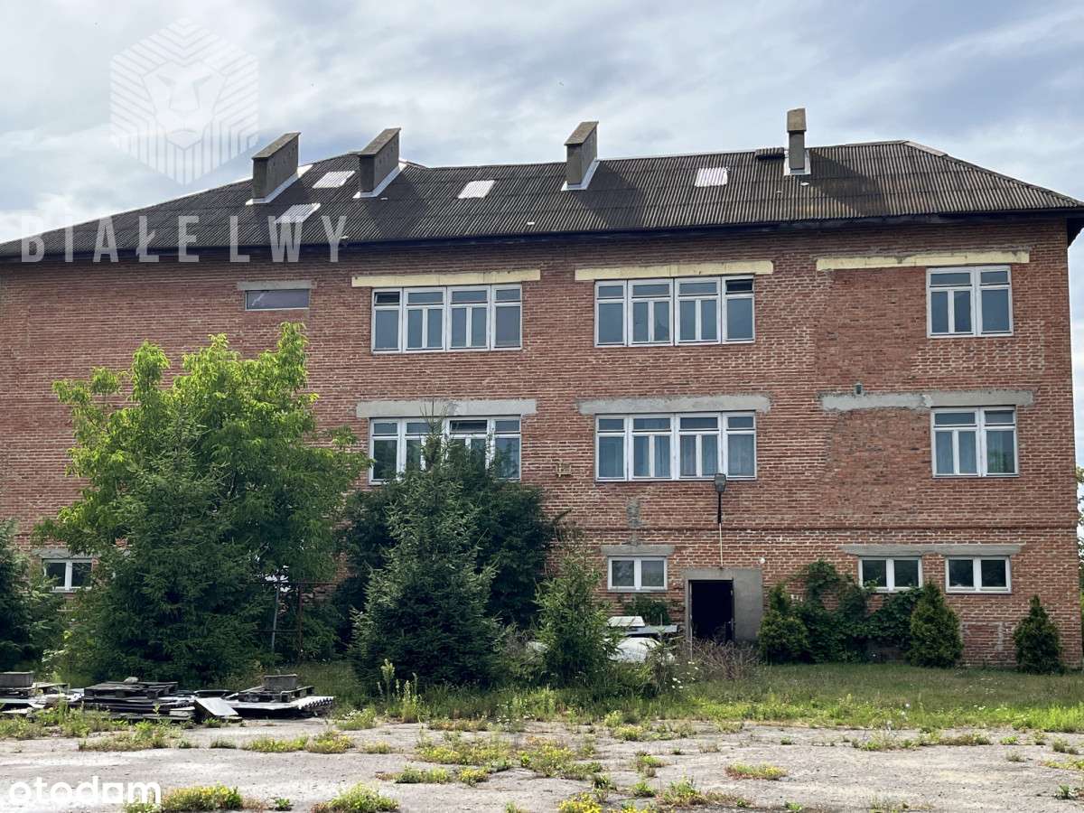 Wielofunkcyjny budynek 1000m i  działka 7600 m - Pełny obrazek: 5/15