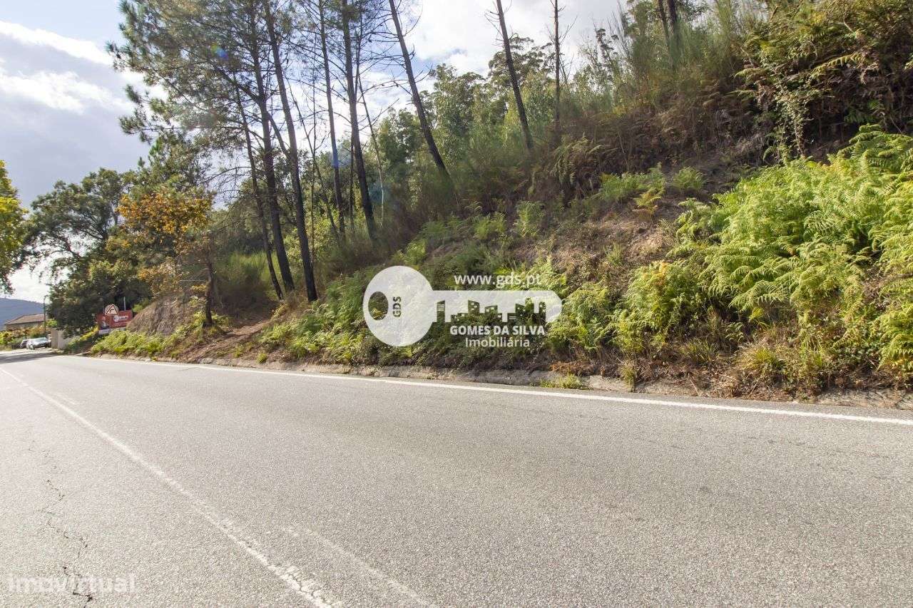 Lote de 7073m2 c/ viabilidade de construção na Morreira - Grande imagem: 2/19