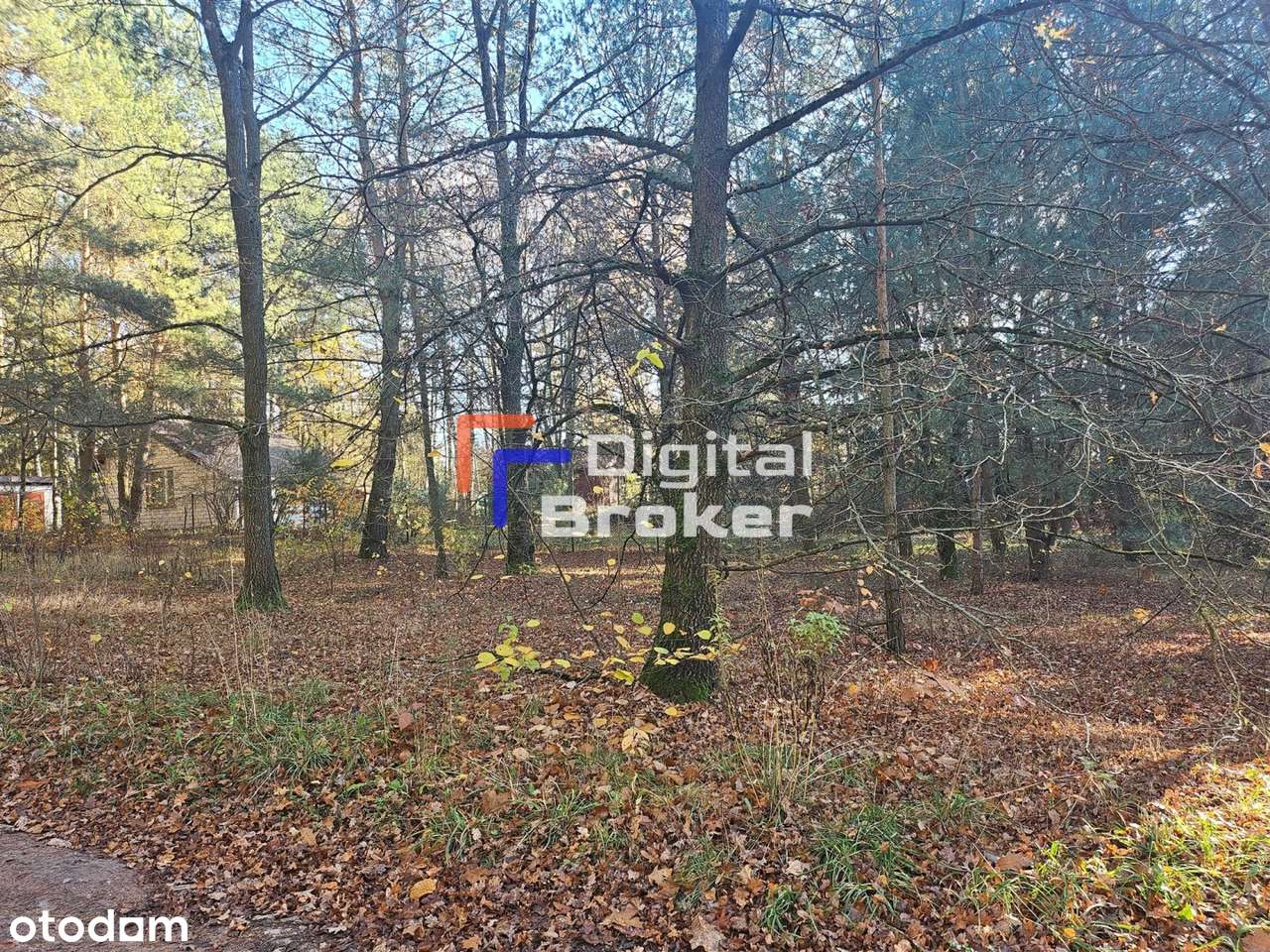 Chorzeszów*działka*letniskowa*łask - Pełny obrazek: 4/9