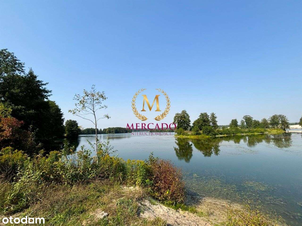 Wyjątkowa działka w okolicy lasów i jezior ! - Pełny obrazek: 4/10