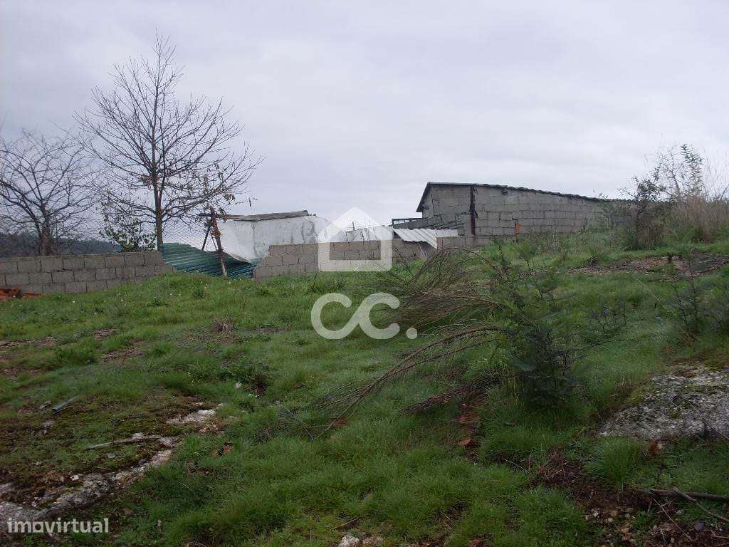 Terreno para moradia - Terreno Construção - Grande imagem: 4/6