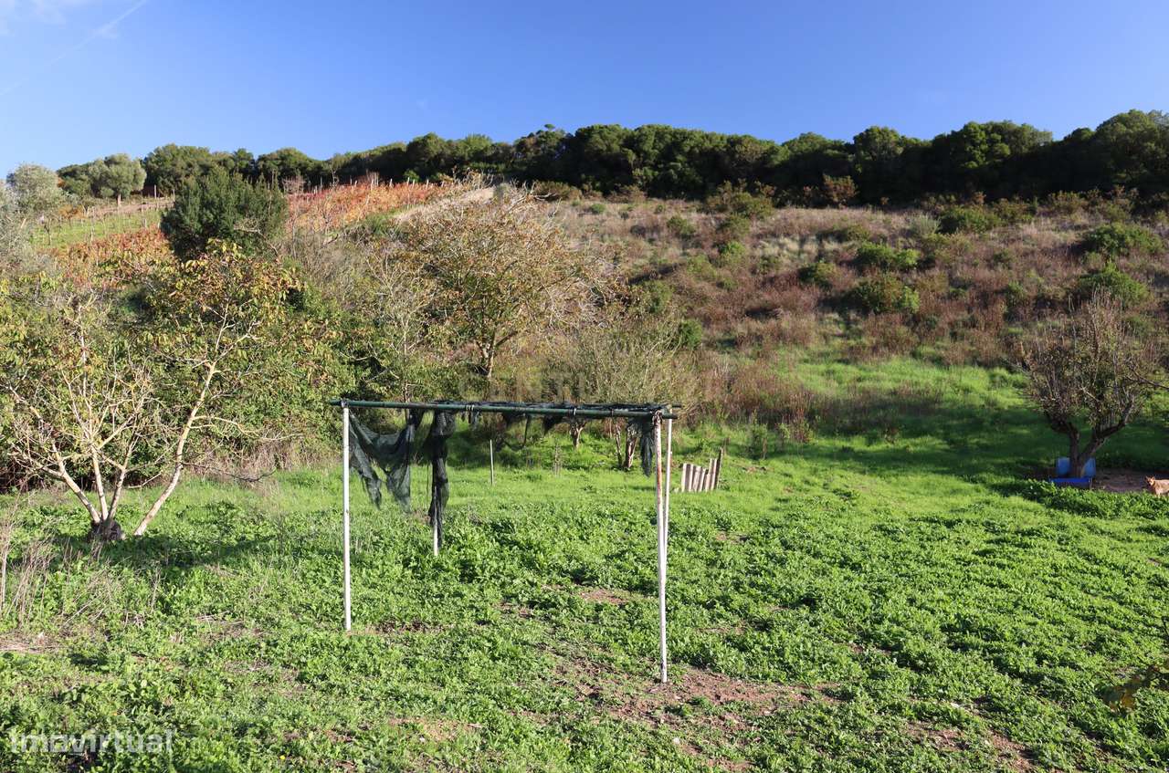 Terreno urbano com casa em ruína na Bemposta, Bucelas-13