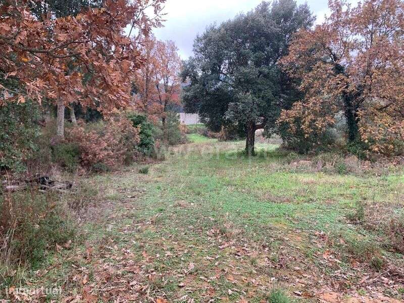 Terreno / Fundão, Aldeia de Joanes - Grande imagem: 5/10