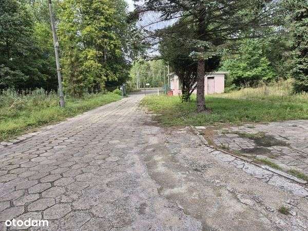 Lokal użytkowy, 5 024,50 m², Pionki-10